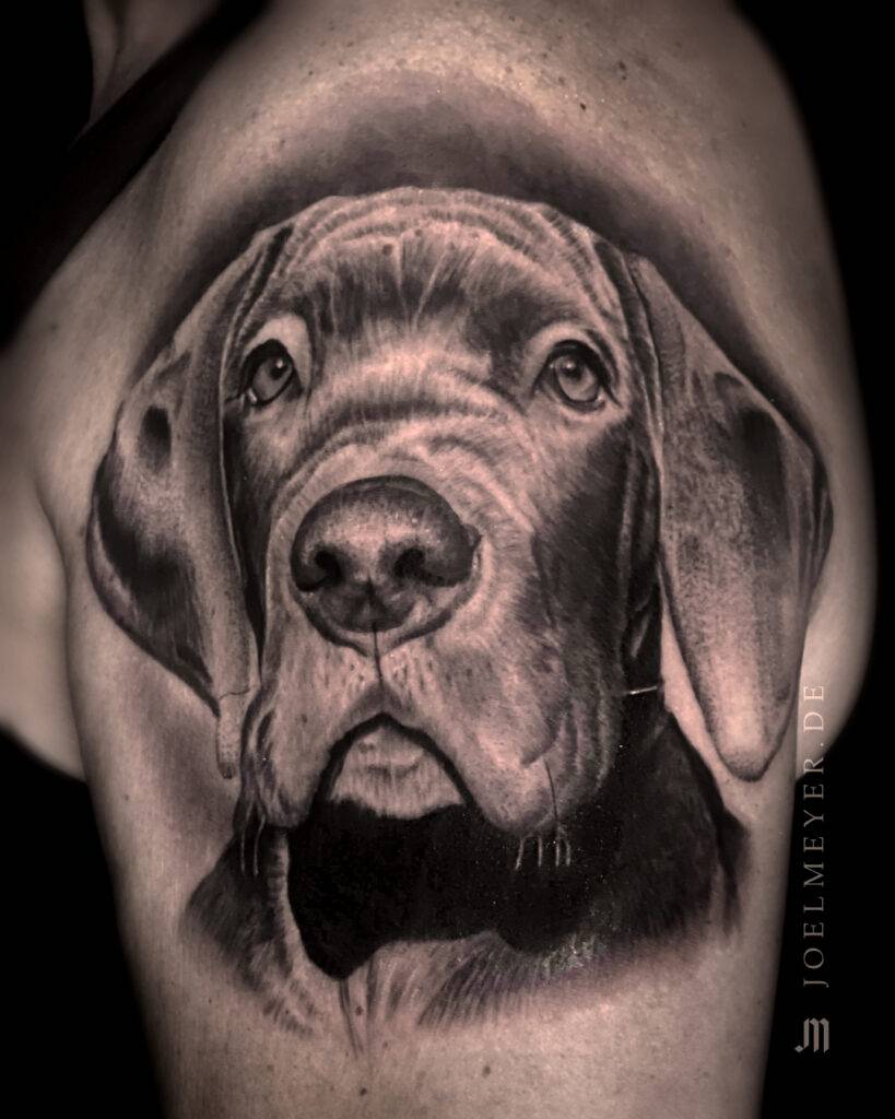 Hund Tier Porträt Realismus Tattoo erstellt von Joel Meyer, Tätowierer in Laval 53, Frankreich, in seinem privaten Tattoo Studio.