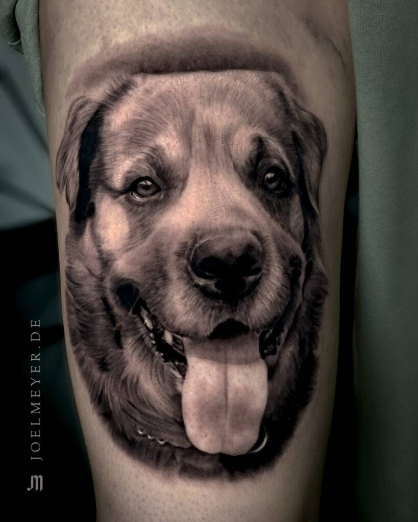 Hund Tier Porträt Realismus Tattoo erstellt von Joel Meyer, Tätowierer in Laval 53, Frankreich, in seinem privaten Tattoo Studio.